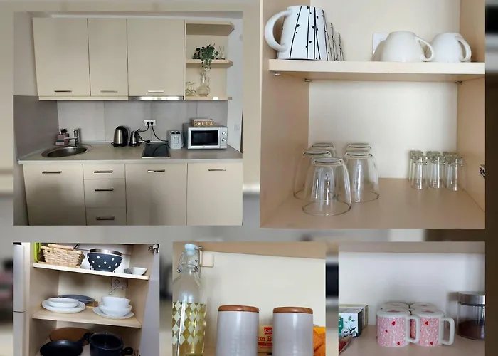 Apartman Mery In Kraljevi Cardaci Kopaonik