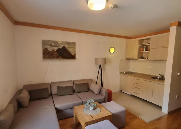Apartment U345 - Aparthotel Vucko Jahorina - Private Host
