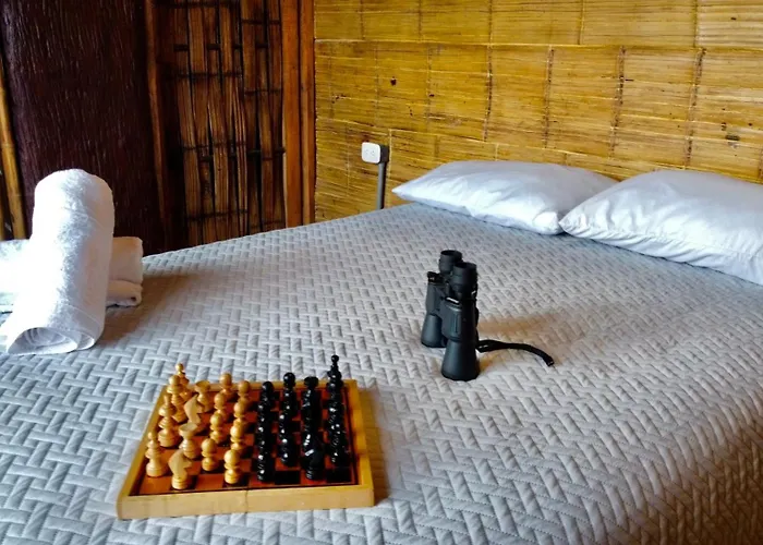 Glamping & Eco-Cabanas Salento Hakuna Matata Timon