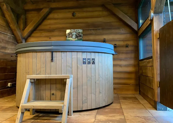 Villa Avalanche Plaiul Foii Zărneşti