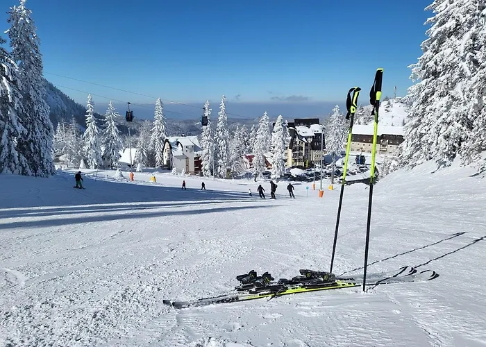 Nivalis Residence *Apartman 20* Jahorina