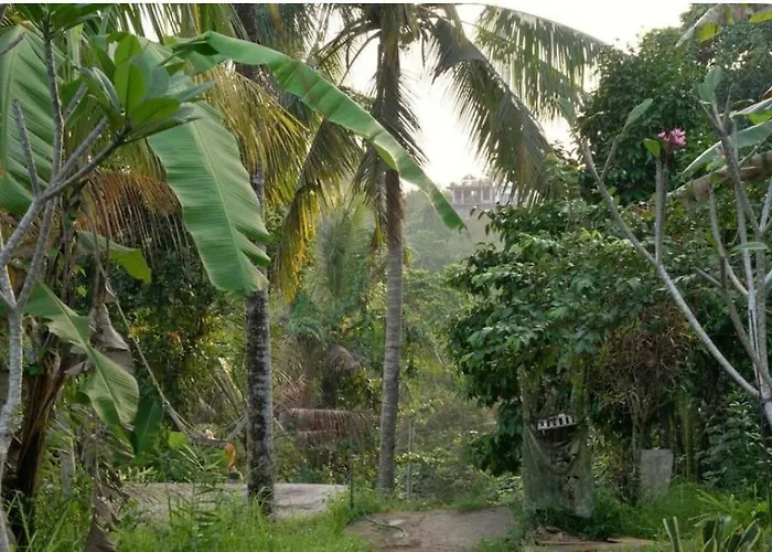 Sunset Jungle Villa By Rare Angon Ubud