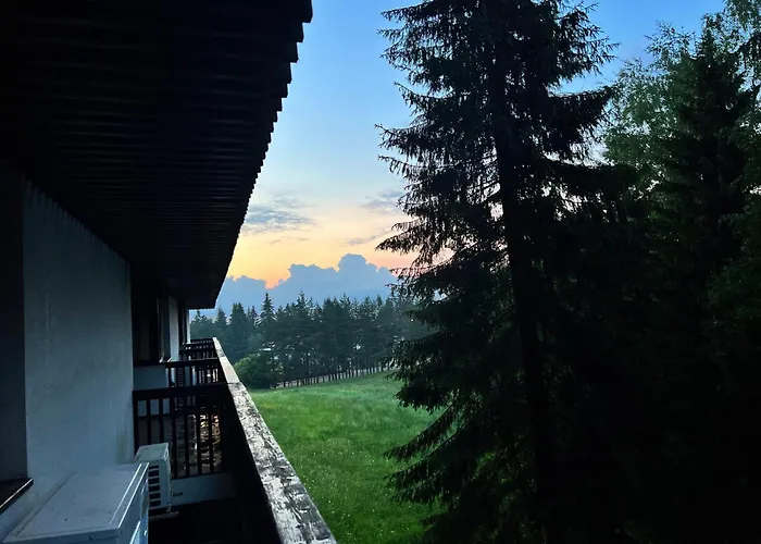 Apartment 2305 Hotel Alpin Poiana Brașov