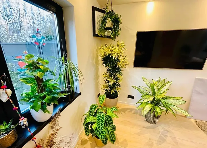 Town House With Garden - 1 Room With Shared Bathroom Brüssel