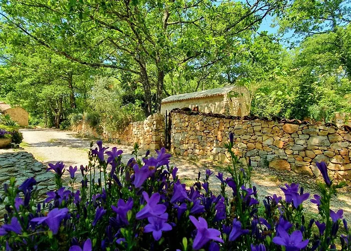 Le Donjon Des Combes Et Son Spa Fayence