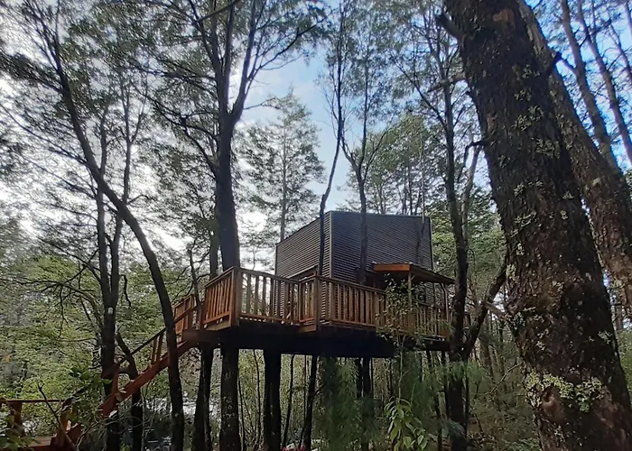 Villa Domos Entre Bosques Malalcahuello