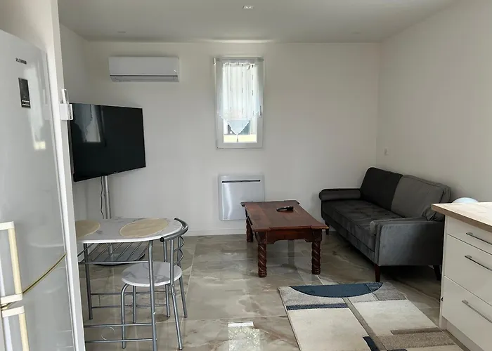 Duplex Oliveraie Piscine Au Sel Marin Et Parking Nizza