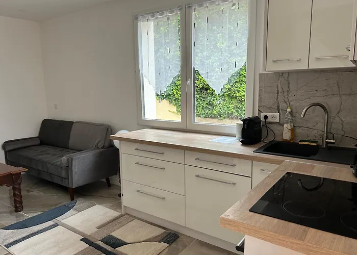 Duplex Oliveraie Piscine Au Sel Marin Et Parking Nizza