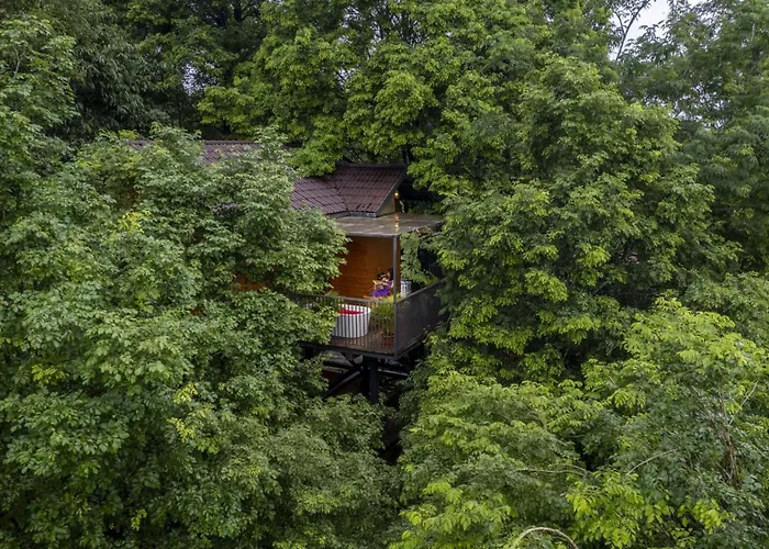 Crystal Kuruva Nature Resort & Spa Wayanad
