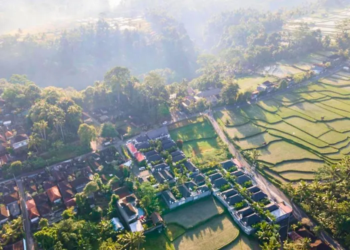 Daisy Grand 1 Bedroom Private Villa With Rice Field View Ubud