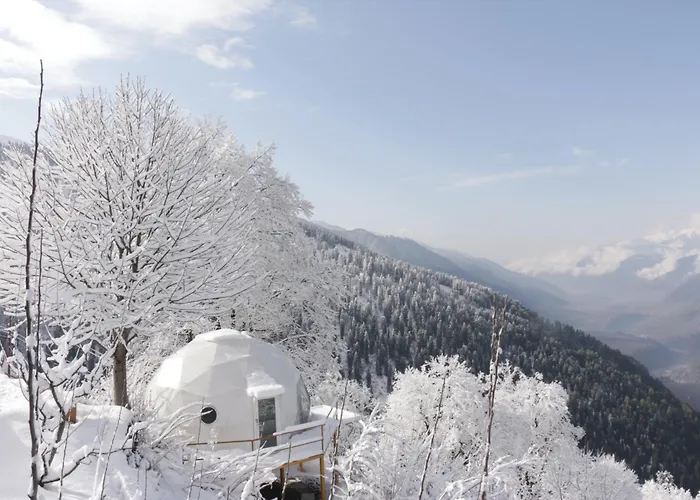 Hotel Glampeco Manali