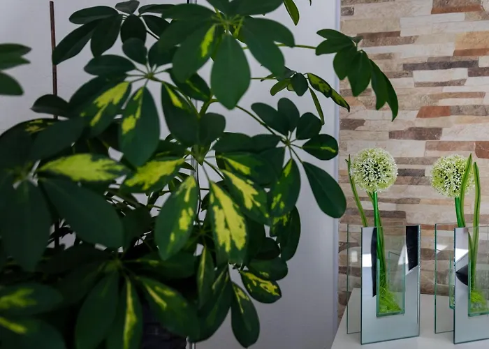 2 Room Apartment With Hot Tub Mlini