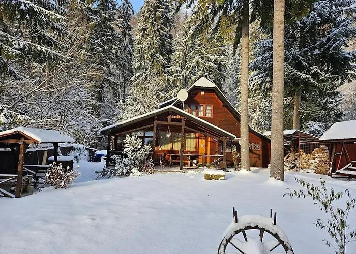 Villa Fabian Kulcsoshaz Izvoare 