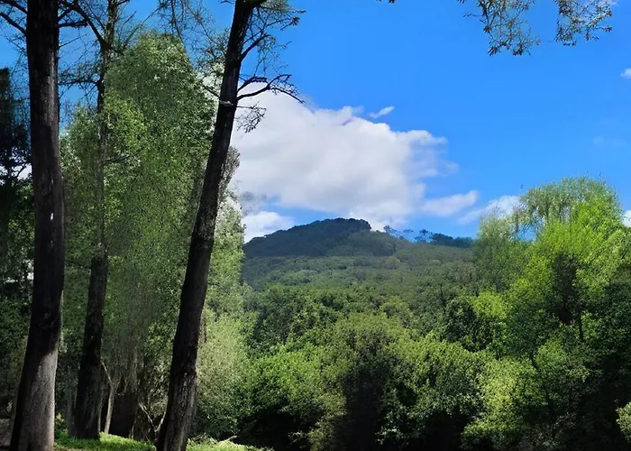 Cabana Pequeno Bosque Refugio Das Aguas São Joaquim