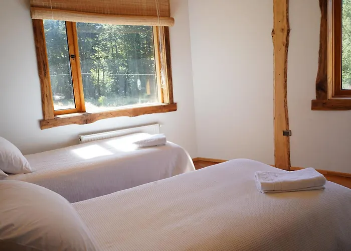 Pu Am Eco Lodge Curarrehue