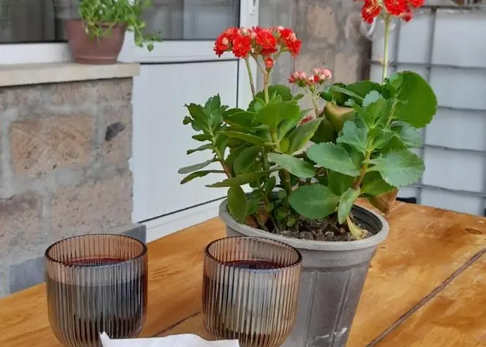 Farmer'S House B&B Areni