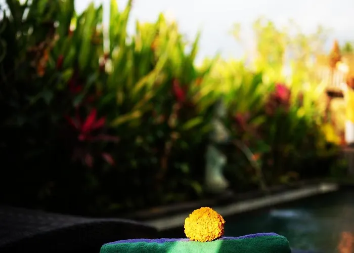 Panorama Paddy Paradise Ubud