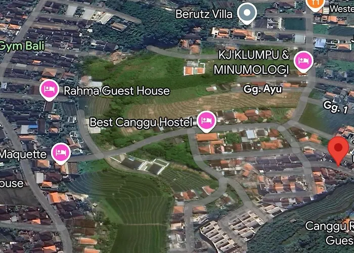 Tsunagari Studio Apartment Babakan Canggu