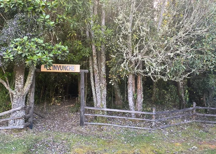 Encantos Del Sur Chiloe Castro