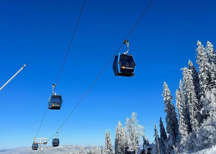 RIO C029 - ApartHotel Vucko - Private Host Jahorina