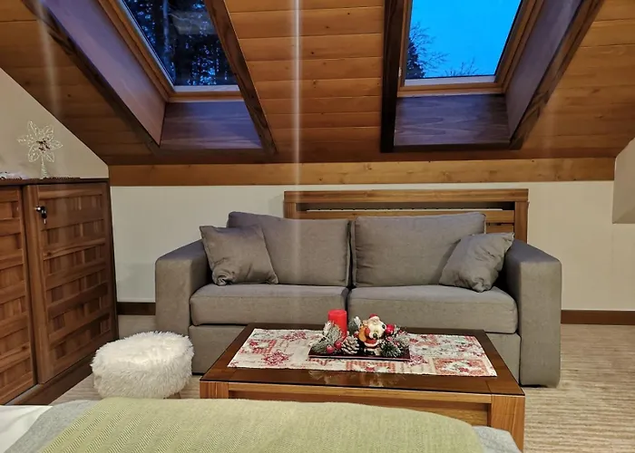Apartman Lux B614, Aparthotel Vucko, Jahorina, Private Host