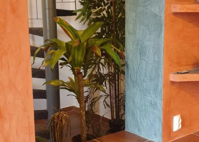 Villa Chic Bukarest