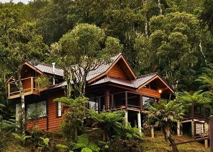 Cabana Luxo - Veu De Noiva Urubici