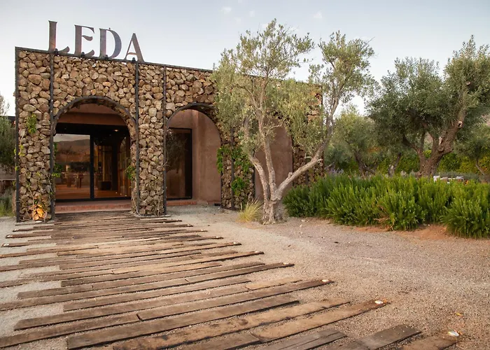 Hotel Andana Winery & Spa Valle de Guadalupe