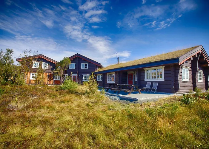 Charming Timber Lodge For Gathering Celebrations Beitostolen