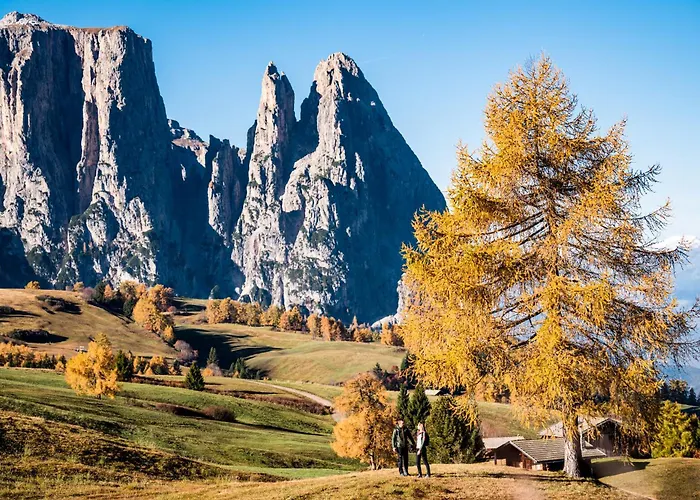 Hotel Steger-Dellai Seiser Alm