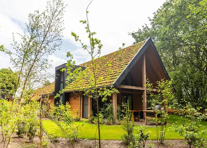 Bos Villa Met Hottub & Sauna | 8 Personen Wekerom