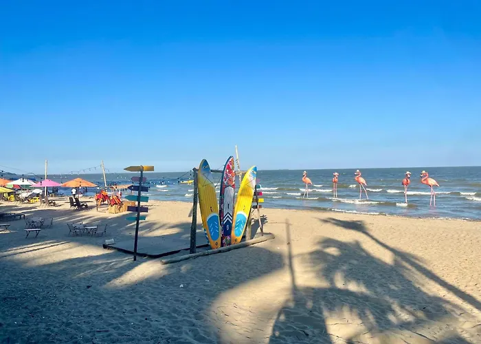 Ib607 Flamingo Hai Tien Thanh Hóa