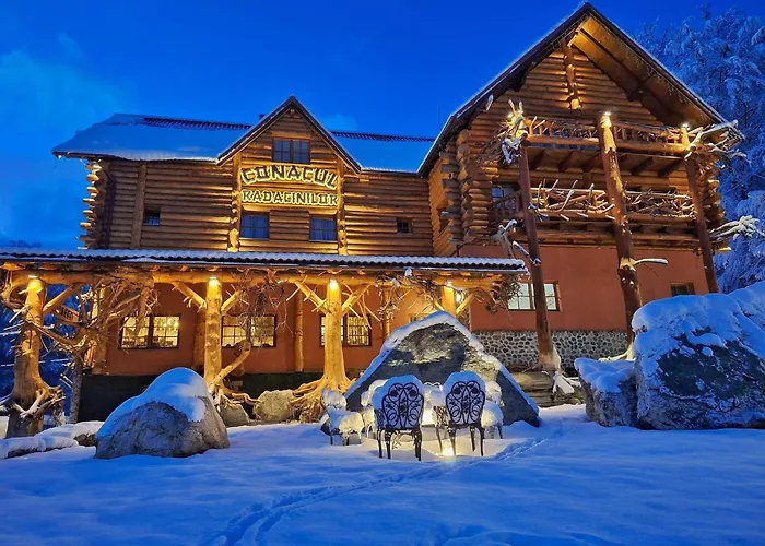 Hotel Conacul Radacinilor Petroşani