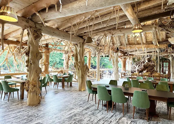 Hotel Conacul Radacinilor Petroşani