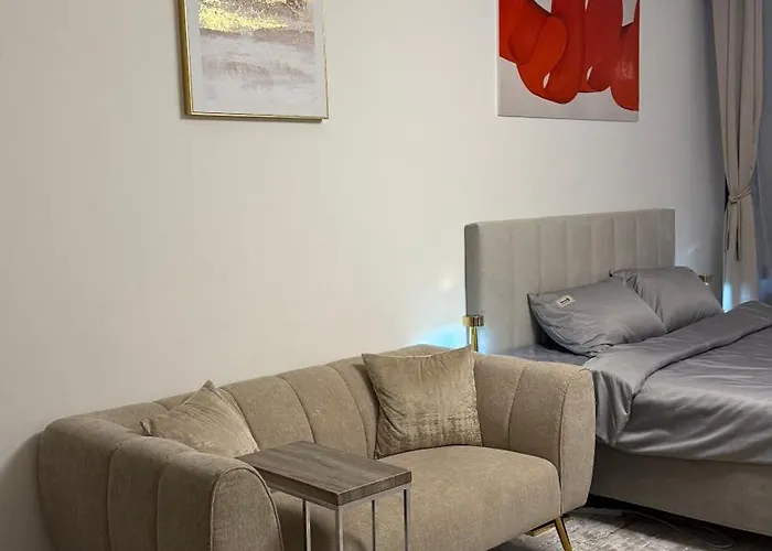Brand New Fully Furnished Studio Dubai