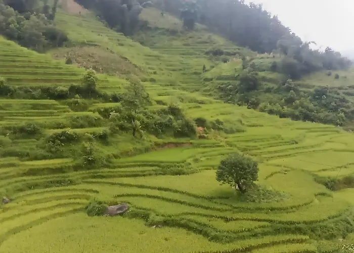 Home Nui Da Ta Phin Sapa