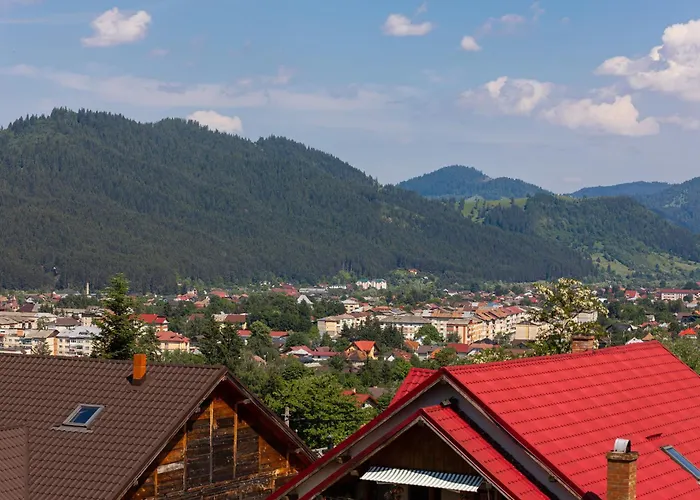 Villa Hopa Sus Câmpulung Moldovenesc