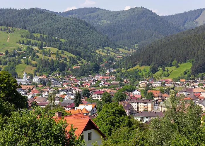 Villa Hopa Sus Câmpulung Moldovenesc