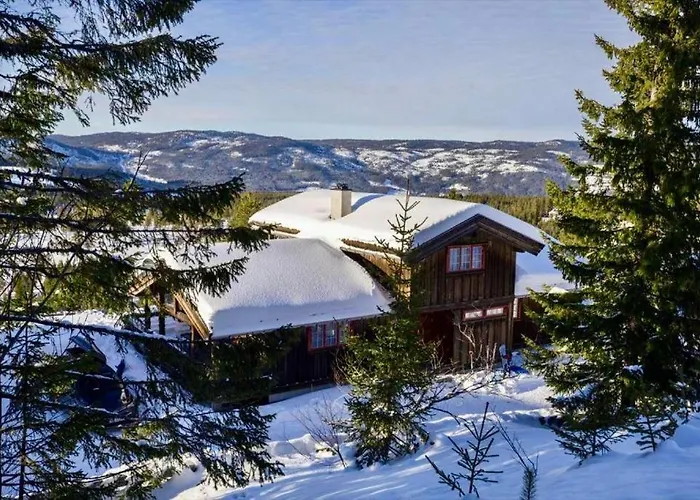 Large Cabin At Nesfjellet With Lovely View, Inddor Jacuzzi & Sauna Nesbyen