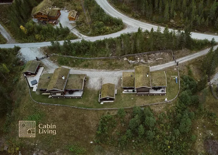 Large Cabin At Nesfjellet With Lovely View, Inddor Jacuzzi & Sauna Nesbyen