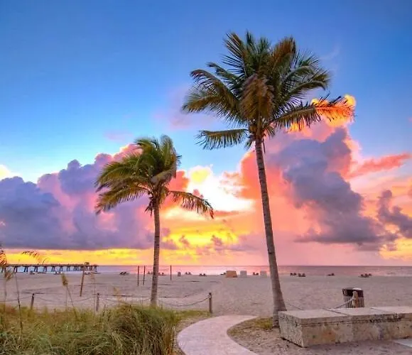 New Pool Home With King Bed Mins To Hospital And Beach Fort Lauderdale