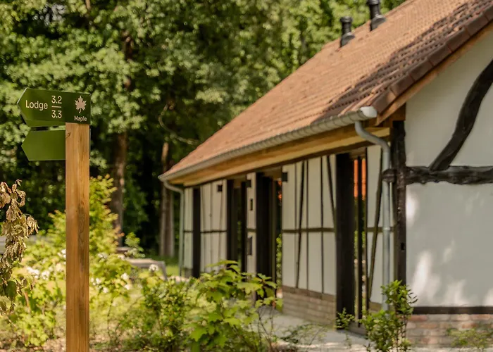 Villa Lodge With Jacuzzi | 8 People Heusden-Zolder