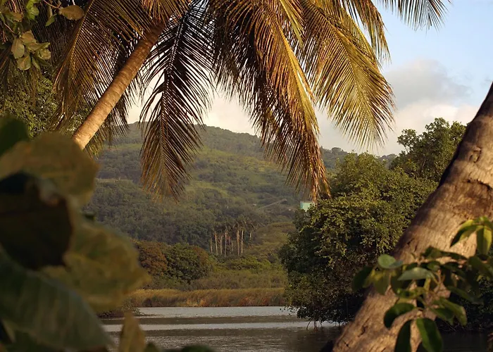 Coco Carib - Cabane Vue Mer & Massages Deshaies