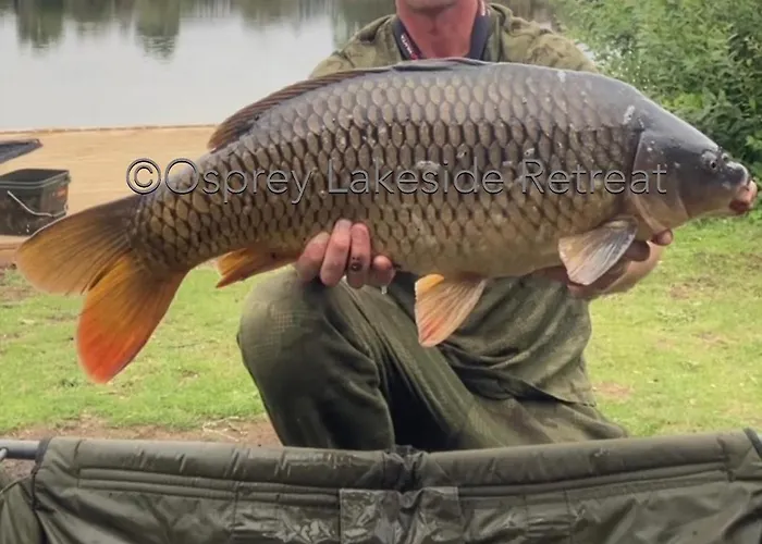 Lakeside Retreat With Hot Tub And Fishing Peg On Osprey Rise At Tattershall Lakes Country Park