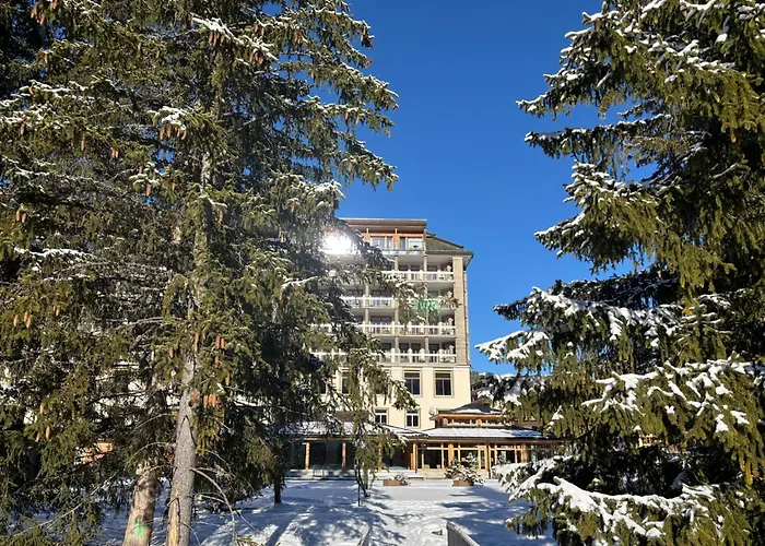 Hotel Faern Arosa Altein