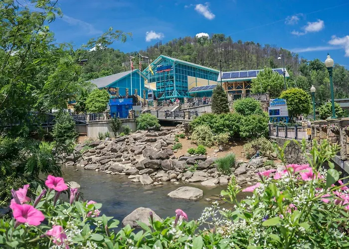 Papa Bear By American Patriot Getaways Pigeon Forge