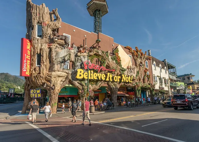 Papa Bear By American Patriot Getaways Pigeon Forge