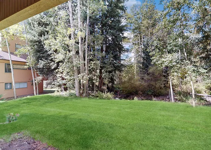 Ferienwohnung Pitkin Creek Park 1B Vail