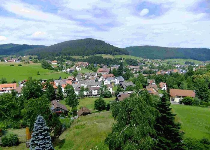 Oberdeisenhof Land- Und Wanderhotel Garni Baiersbronn