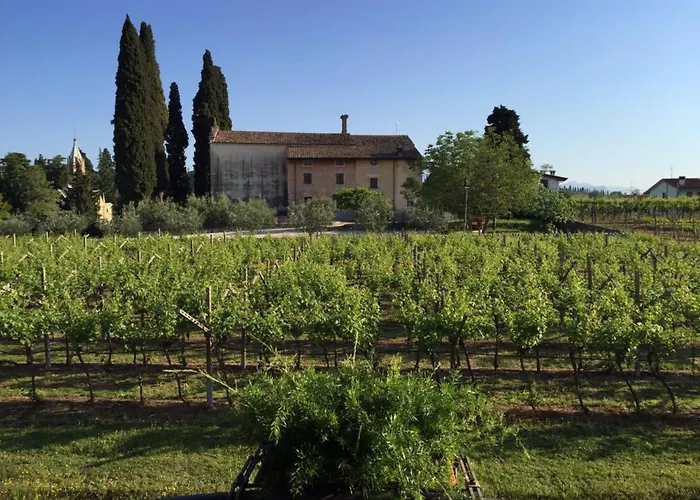 Parco Termale Di Villa Dei Cedri Lazise